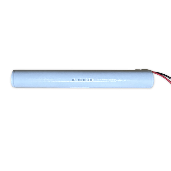 4.8V-2.5Ah-(2)
